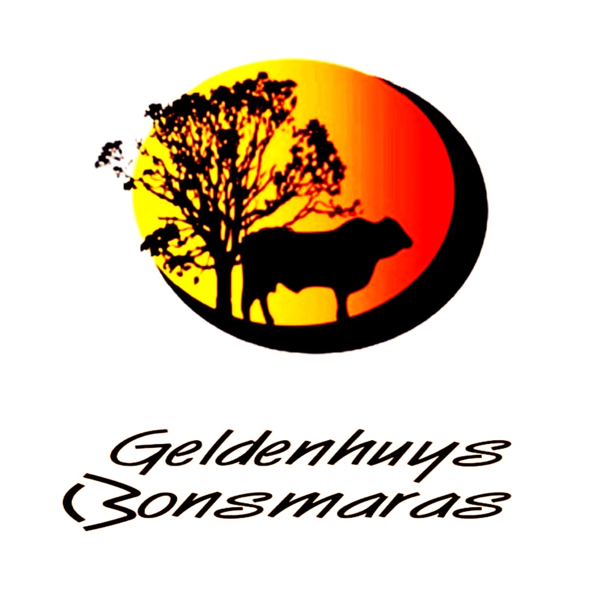 Geldenhuys Bonsmaras