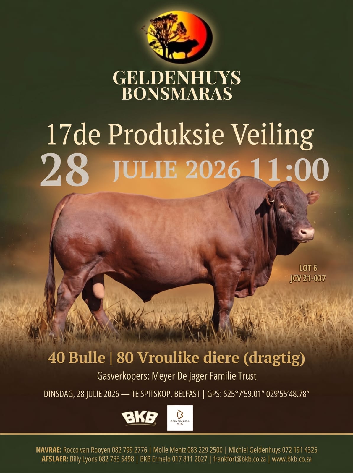 17de Produksie Veiling — Geldenhuys Bonsmaras
