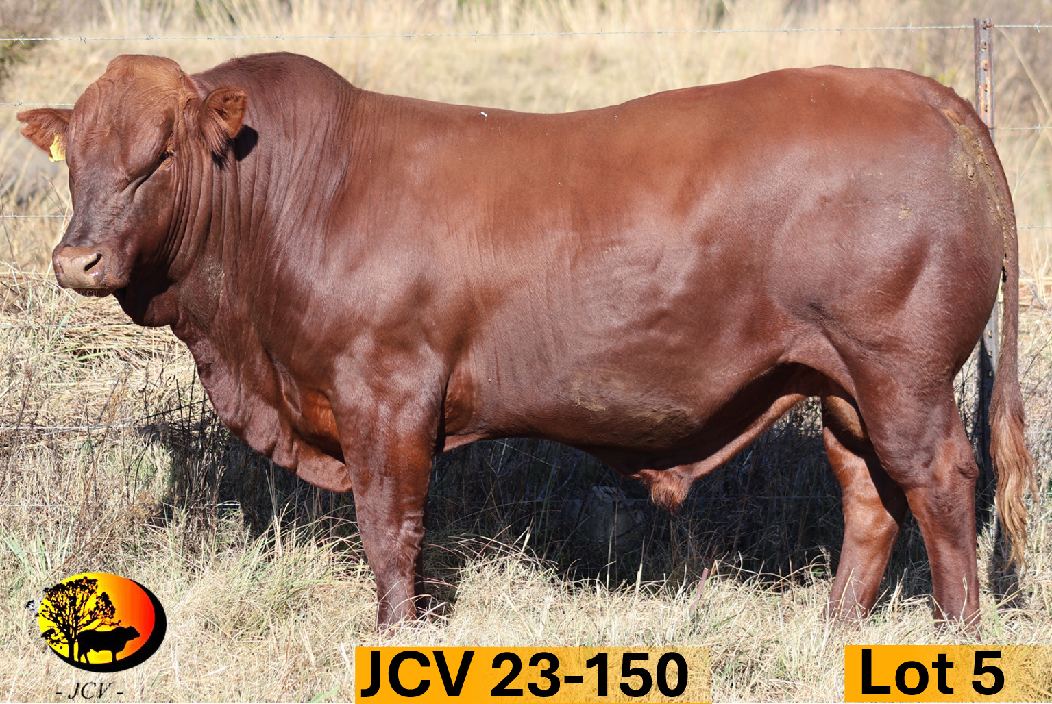 JCV 23-150 — Lot 05